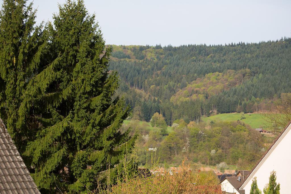 Schoene Aussicht Seelbach  Quarto foto